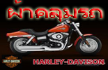 จำหน่ายผ้าคลุมรถ harley  ทุกรุ่น พร้อมบริการจัดส่งทั่วประเทศ Tel.081-618-1124