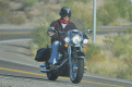 Prince Harry Loves H-D