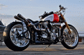 Harley Crossbones by Warr’s