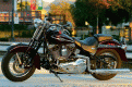 HD Springer in the Present Day