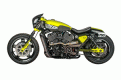 HARLEY STREET WANTS TO RACE