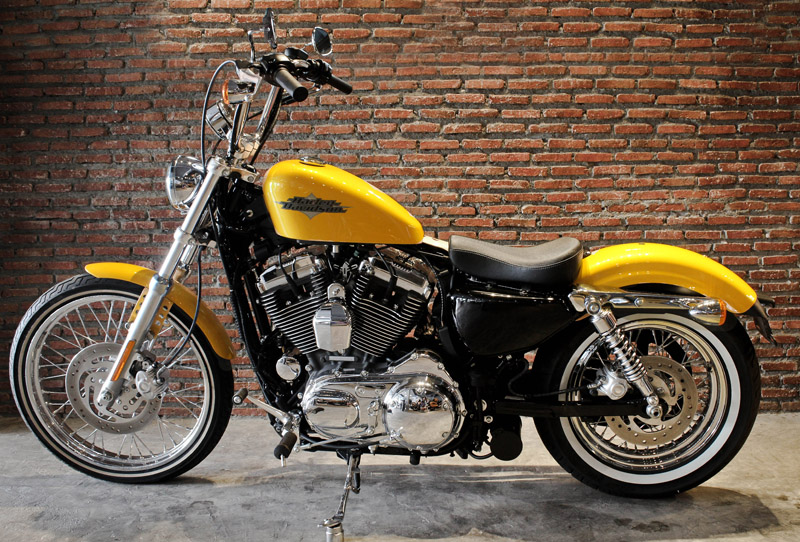 2013 Harley-Davidson XL1200V Sportster \